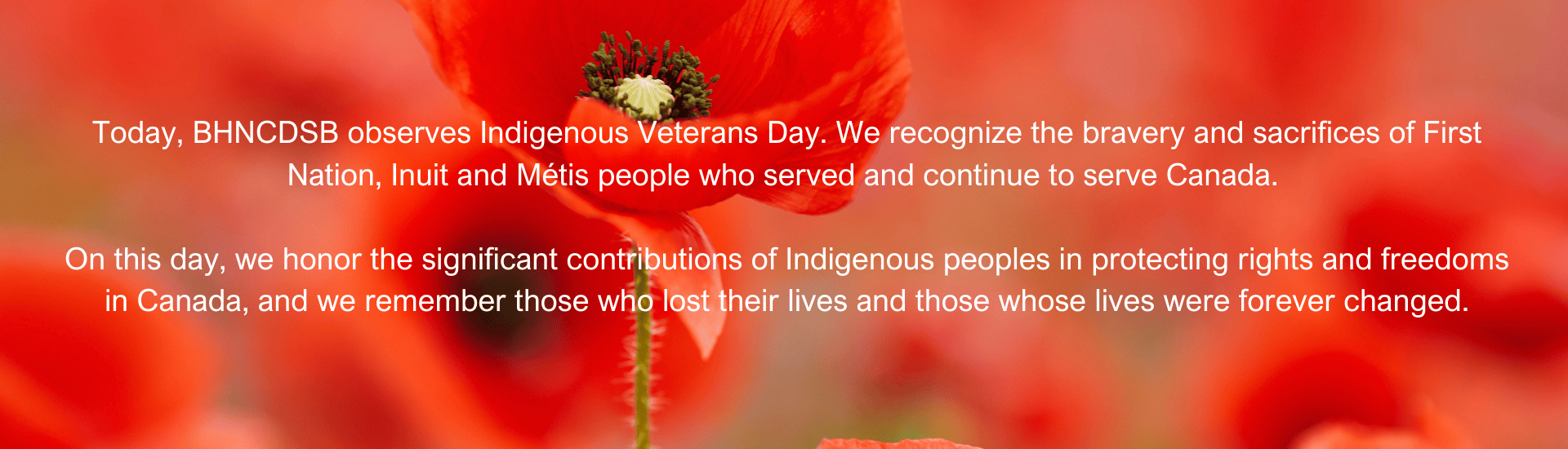 Indigenous Veterans Day